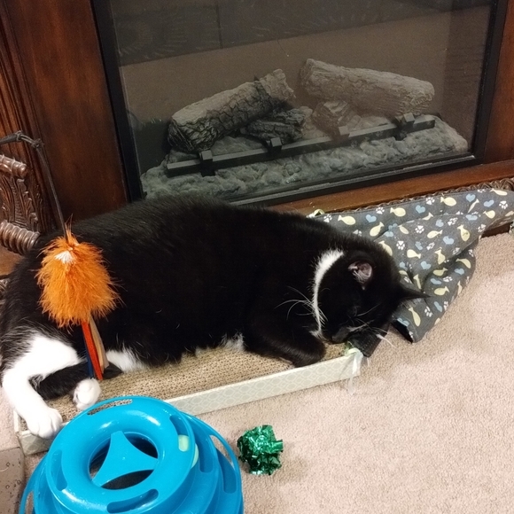 Come join me for a live show. 💜❤️. Come join the fun. - Picture 5 of 16